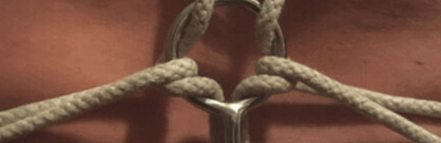 Bondage haak met kleine bal