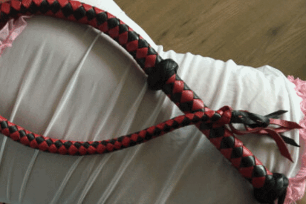 Premium Red en black leather whip