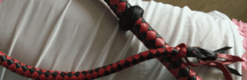 Premium Red en black leather whip