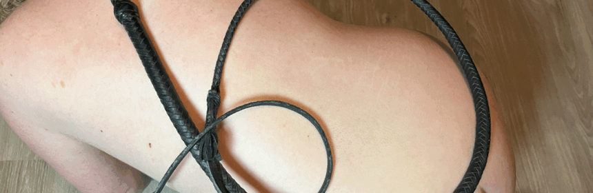 Bullwhip, een prachtige single tail