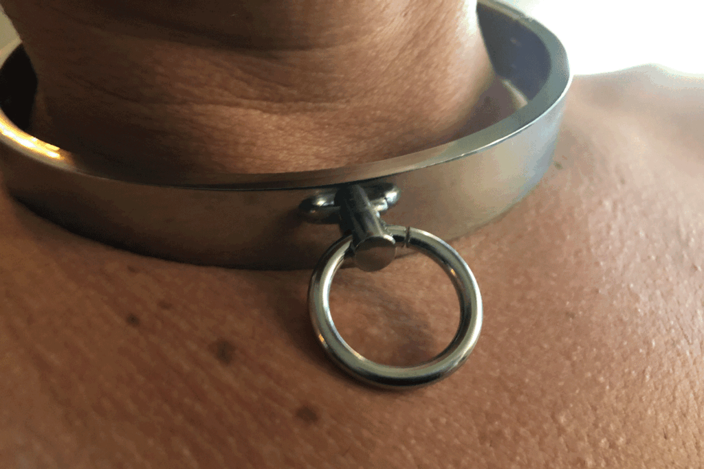 De symboliek van de collar of halsband